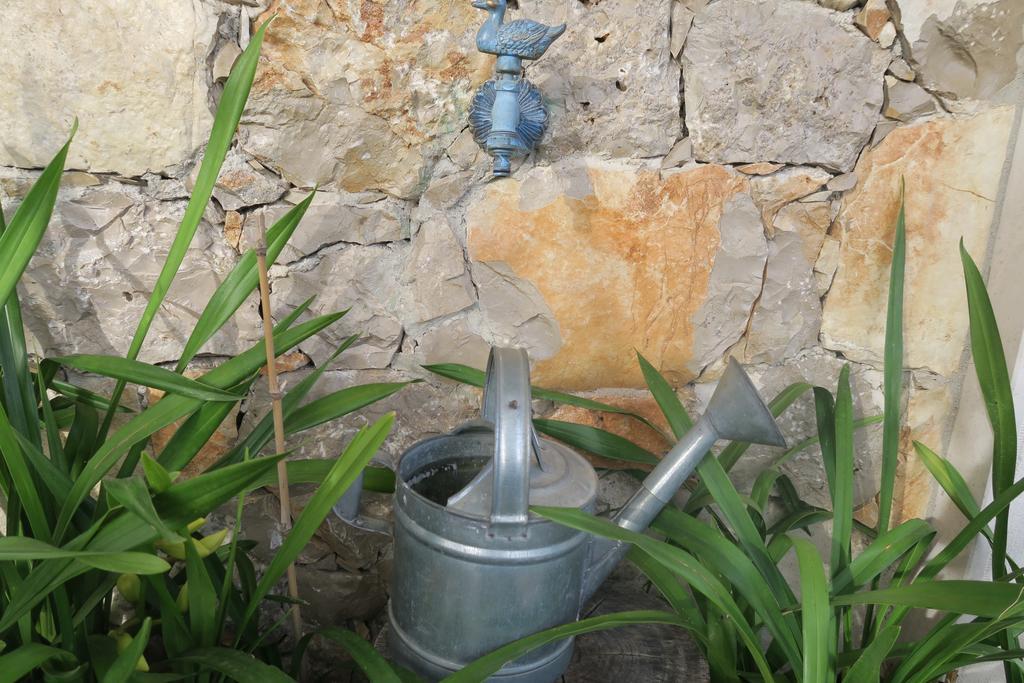 Noz Por Ca... Turismo Em Espaco Rural Alcaria  Buitenkant foto
